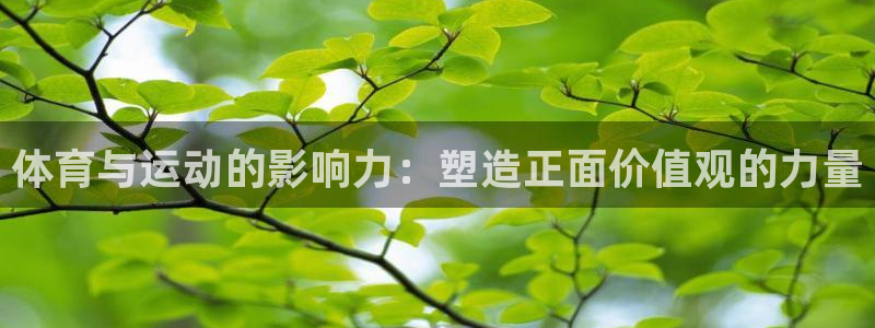 谈球吧：体育与运动的影响力：塑造正面价值观的力量