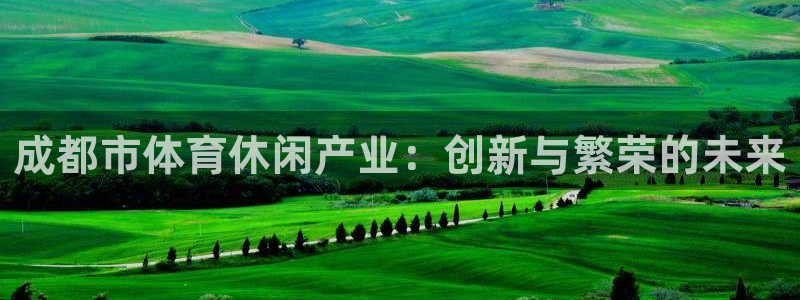 谈球吧体育官网：成都市体育休闲产业：创新与繁荣的未来
