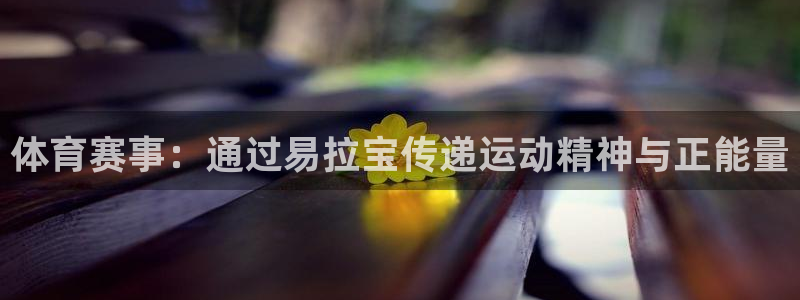 谈球吧体育官网：体育赛事：通过易拉宝传递运动精神与正能量