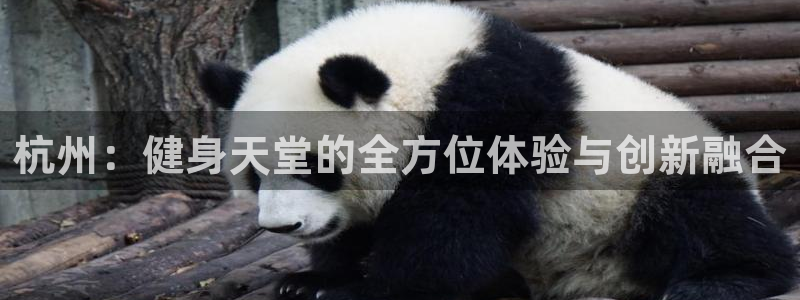 谈球吧：杭州：健身天堂的全方位体验与创新融合