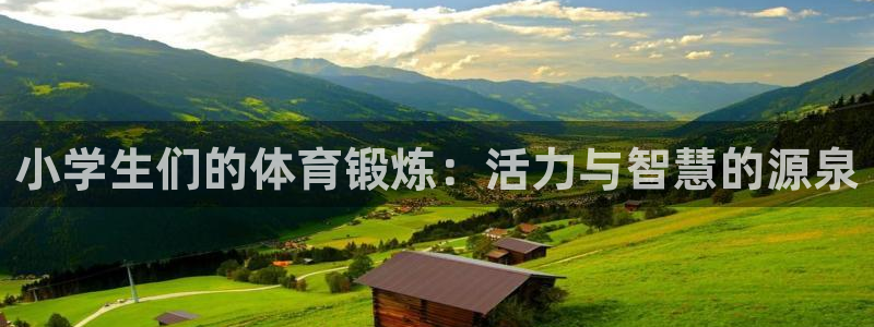谈球吧体育官网：小学生们的体育锻炼：活力与智慧的源泉