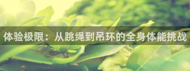 谈球吧体育官网：体验极限：从跳绳到吊环的全身体能挑战
