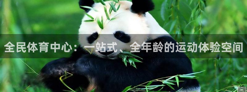 谈球吧体育：全民体育中心：一站式、全年龄的运动体验空间